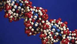 Генетическое бесплодие